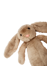 Conejo Sin Personalizar Pequeño