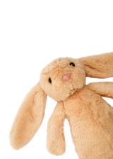 Conejo Sin Personalizar Pequeño