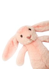 Conejo Sin Personalizar Pequeño